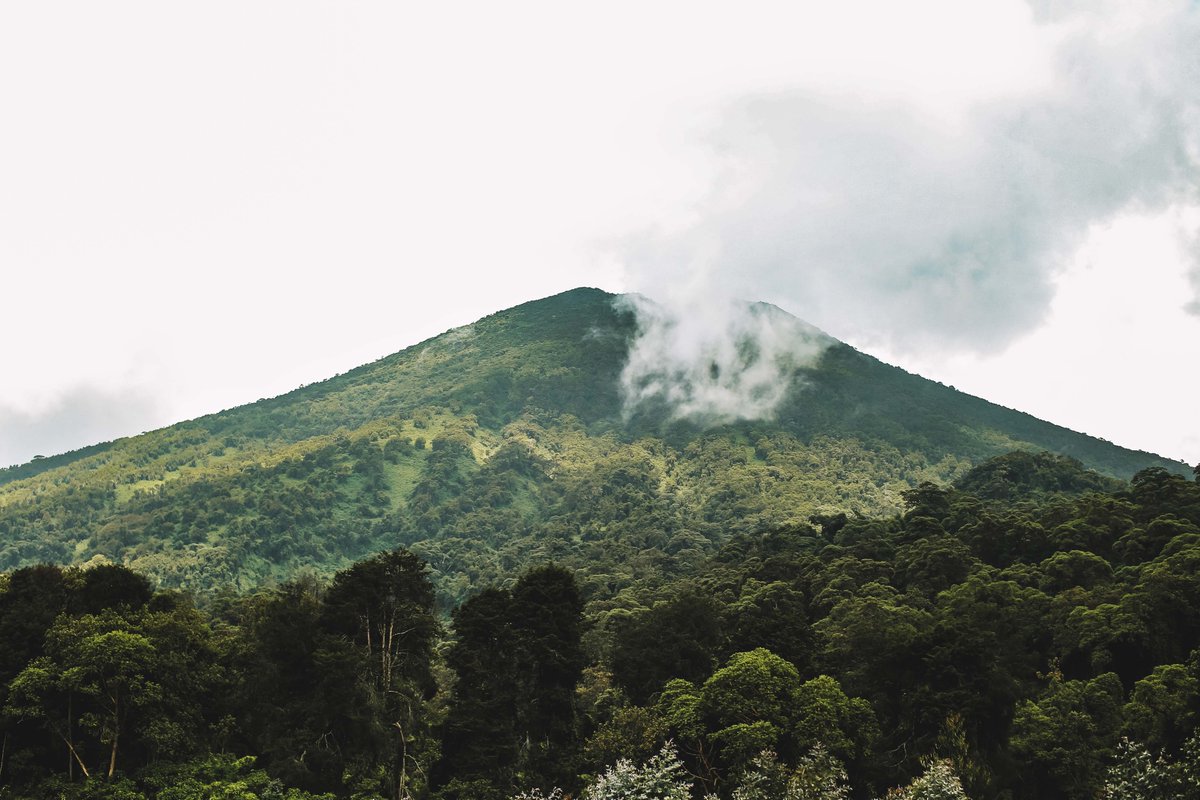 Rwanda Gorilla Permit